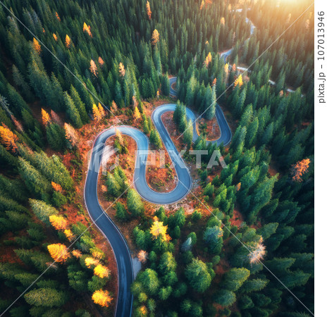 Aerial view of winding road in colorful autumn forest at sunrise 107013946