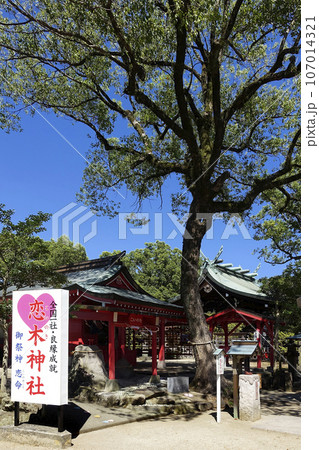 九州第二天満宮 恋する錦鯉の杜 水田天満宮 恋木神社 107014321