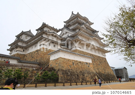 姫路城の景観 107014665