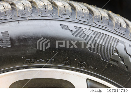 オールシーズンタイヤを装着した自動車 107014750