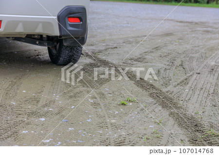 オールシーズンタイヤを装着した自動車 107014768