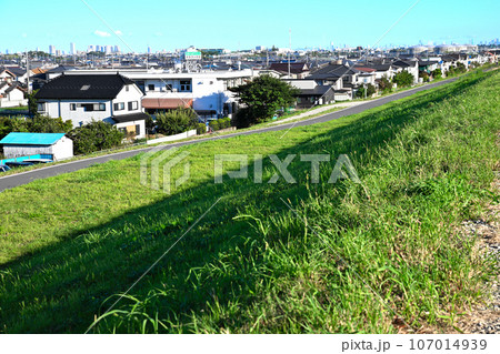 荒川土手からの風景 さいたま新都心方面 荒川沿い 荒川土手からの風景 さいたま新都心方面 荒川沿い 107014939