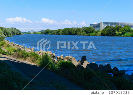 埼玉県三郷市江戸川釣りスポット2023年9月 埼玉県三郷市江戸川釣りスポット2023年9月 107015338