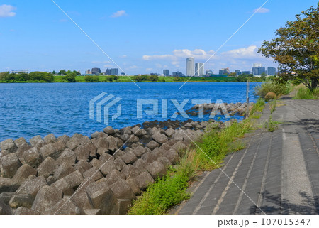 千葉県市川市江戸川の釣りスポット2023年9月 千葉県市川市江戸川の釣りスポット2023年9月 107015347