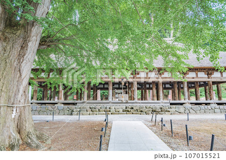 福島　新宮熊野神社 107015521