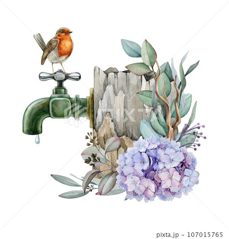 Garden robin on a vintage style metal water tap with tender flower decor. Watercolor illustration. Hand drawn cozy countryside scene with a bird. Springtime floral decor element. White background Garden robin on a vintage style metal water tap with tender flower decor. Watercolor illustration. Hand drawn cozy countryside scene with a bird. Springtime floral decor element. White background 107015765