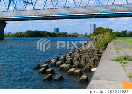 千葉県松戸市江戸川釣りスポット2023年9月 107015927