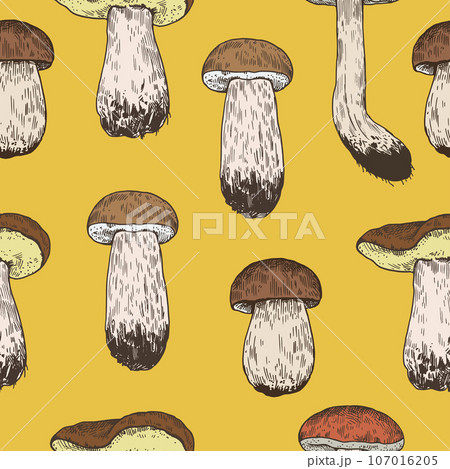 Seamless pattern with mushrooms in retro engraving style. Vintage hand-drawn print for design and textile. 107016205