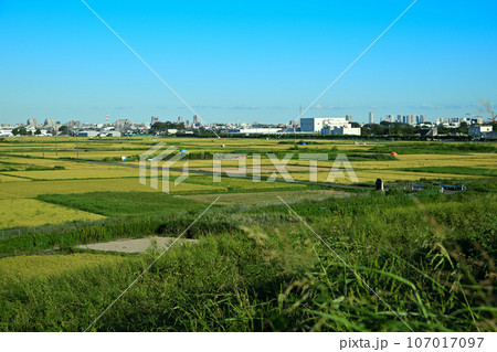 荒川土手からの風景 　さいたま新都心方面　荒川沿い 107017097