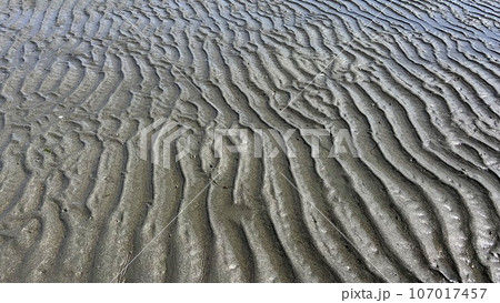 海の自然の芸術 海の自然の芸術 107017457