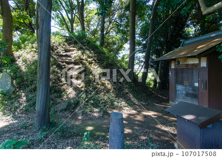 富士塚と社 107017508