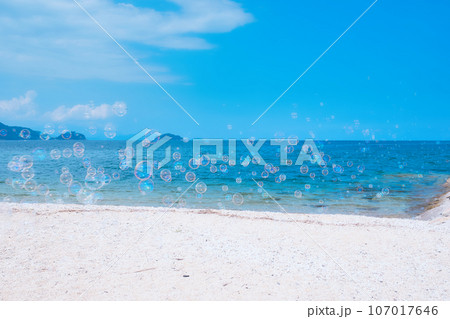 砂浜を舞うシャボン玉 107017646