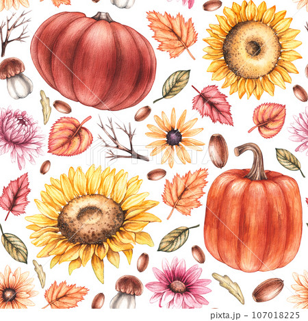 Hand drawn patterns of autumn plants Hand drawn patterns of autumn plants 107018225