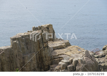 越前海岸 東尋坊の三段岩 越前海岸 東尋坊の三段岩 107018299