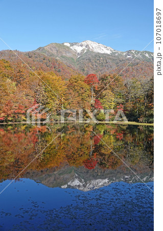 紅葉の苅込池。 紅葉の苅込池。 107018697