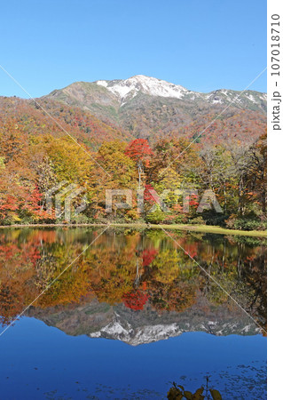 紅葉の苅込池。 紅葉の苅込池。 107018710