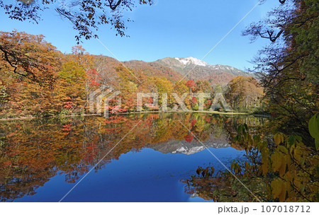 紅葉の苅込池。 紅葉の苅込池。 107018712