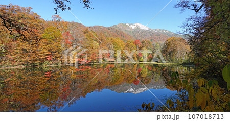 紅葉の苅込池。 紅葉の苅込池。 107018713
