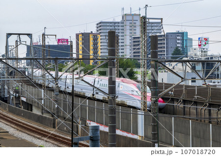 東京都・北区　赤羽八幡神社（あかばねはちまんじんじゃ）　境内から見える東北新幹線　 107018720