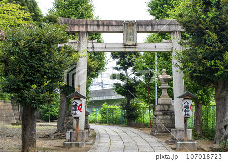 東京都・北区 赤羽八幡神社(あかばねはちまんじんじゃ) 参道の鳥居 東京都・北区 赤羽八幡神社(あかばねはちまんじんじゃ) 参道の鳥居 107018723