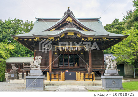 東京都・北区 赤羽八幡神社(あかばねはちまんじんじゃ) 拝殿 東京都・北区 赤羽八幡神社(あかばねはちまんじんじゃ) 拝殿 107018725