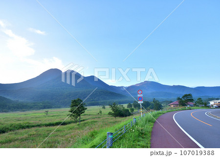 早朝のくじゅう長者原　タデ原湿原　三俣山　やまなみハイウェイ 107019388