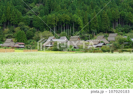 秋の美山かやぶきの里 107020183