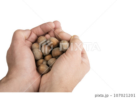 a pile of hazelnuts 107021201
