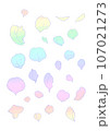 レインボーカラーのバラの花びら 107021273