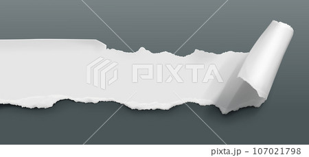 Rip paper page curl with torn edge vector sheet 107021798