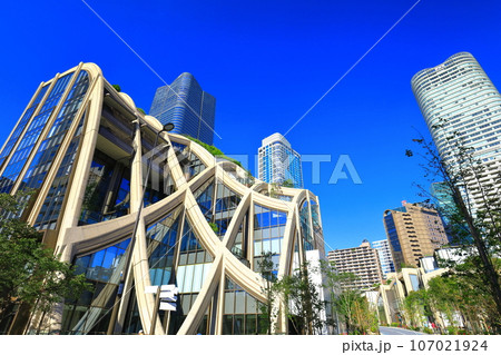 【東京都】快晴の森JPタワーとガーデンプラザレジデンス（麻布台ヒルズ ） 107021924