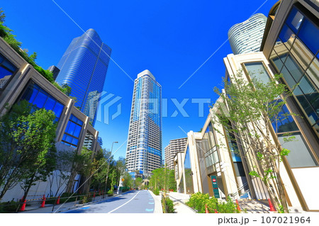 【東京都】快晴の森JPタワーとガーデンプラザレジデンス(麻布台ヒルズ ) 【東京都】快晴の森JPタワーとガーデンプラザレジデンス(麻布台ヒルズ ) 107021964