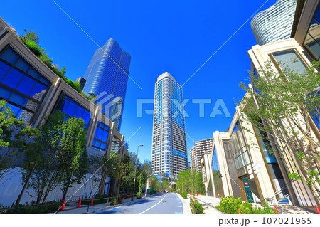 【東京都】快晴の森JPタワーとガーデンプラザレジデンス（麻布台ヒルズ ） 107021965