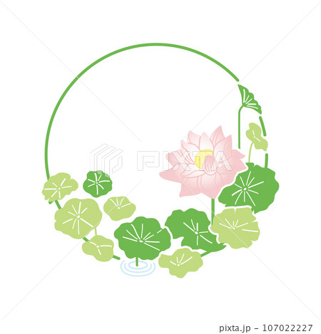 1本の蓮の花のフレーム（カラー）のイラスト素材 [107022227] - PIXTA