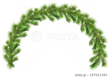 Green Christmas pine twig in an arch arrangement isolated Green Christmas pine twig in an arch arrangement isolated 107022385