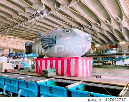 唐戸市場 ふぐ 山口 唐戸市場 ふぐ 山口 107022717