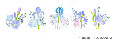 Crocus Flower with Blooming Flora and Branch Vector Composition Set Crocus Flower with Blooming Flora and Branch Vector Composition Set 107022818
