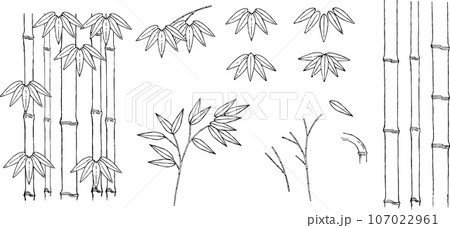 ペンで描いた竹のイラストセット 107022961