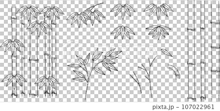 ペンで描いた竹のイラストセット 107022961