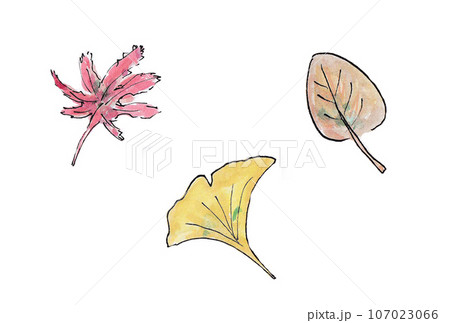 水性ペンと透明水彩絵の具で描いた紅葉の葉のイラストセット 107023066