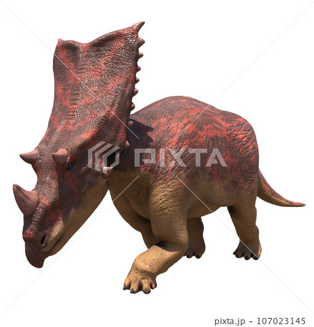 カスモサウルス Chasmosaurus 107023145
