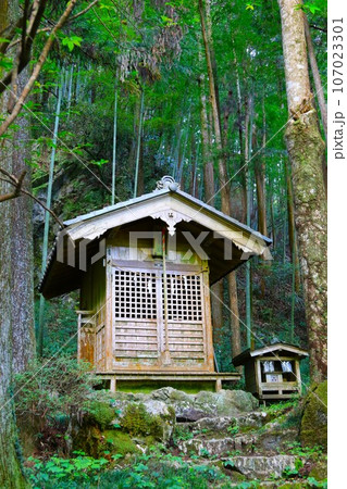 毛呂山町の獅子ヶ滝近くの森に鎮座する八坂神社本殿の風景 107023301