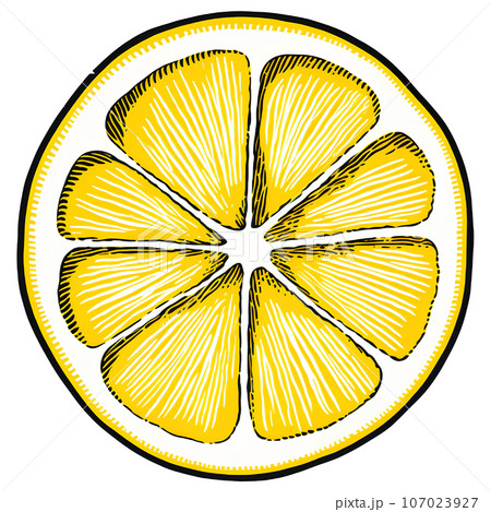 illustration, lemon, fruit, citrus, fresh, vitamin, natural, organic, food, isolated, background, cut, slice, tropical, half, healthy, design, icon, sweet, juice, leaf, yellow, juicy, color, ripe, pie illustration, lemon, fruit, citrus, fresh, vitamin, natural, organic, food, isolated, background, cut, slice, tropical, half, healthy, design, icon, sweet, juice, leaf, yellow, juicy, color, ripe, pie 107023927