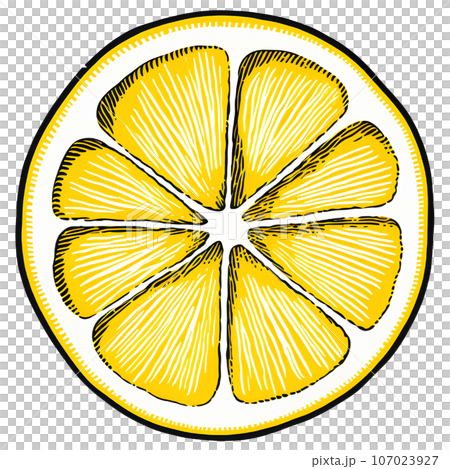illustration, lemon, fruit, citrus, fresh, vitamin, natural, organic, food, isolated, background, cut, slice, tropical, half, healthy, design, icon, sweet, juice, leaf, yellow, juicy, color, ripe, pie illustration, lemon, fruit, citrus, fresh, vitamin, natural, organic, food, isolated, background, cut, slice, tropical, half, healthy, design, icon, sweet, juice, leaf, yellow, juicy, color, ripe, pie 107023927