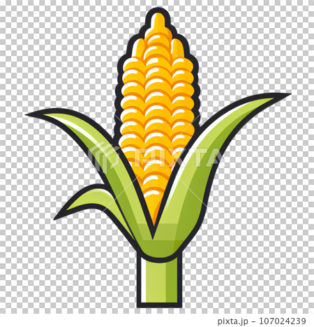 maize, corn, illustration, food, agriculture, grain, natural, organic, plant, farm, harvest, seed, vegetable, vegetarian, popcorn, yellow, nature, green, cereal, ripe, nutrition, icon, leaf, summer, 107024239