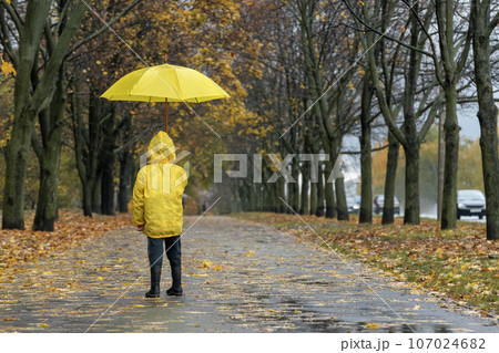 Rear view on little child in yellow raincoat with an yellow umbrella in hands. Autumn weather in park 107024682