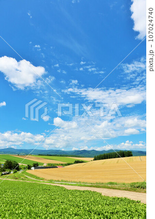 北海道 夏の青空と美瑛の風景 北海道 夏の青空と美瑛の風景 107024740