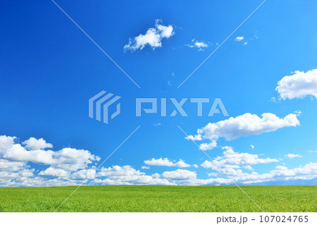 北海道　夏の青空と新緑の草原風景 107024765