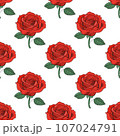 Rose 1 107024791