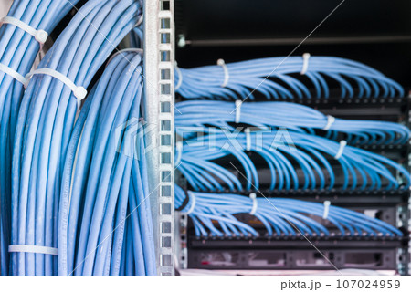 bunch of patch network cables sorted in rack cabinet, leading from patch panel in the server rack in the data center room bunch of patch network cables sorted in rack cabinet, leading from patch panel in the server rack in the data center room 107024959